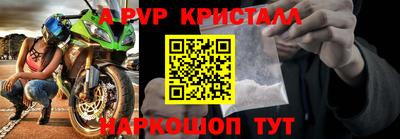 эйфоретик Ачхой-Мартан