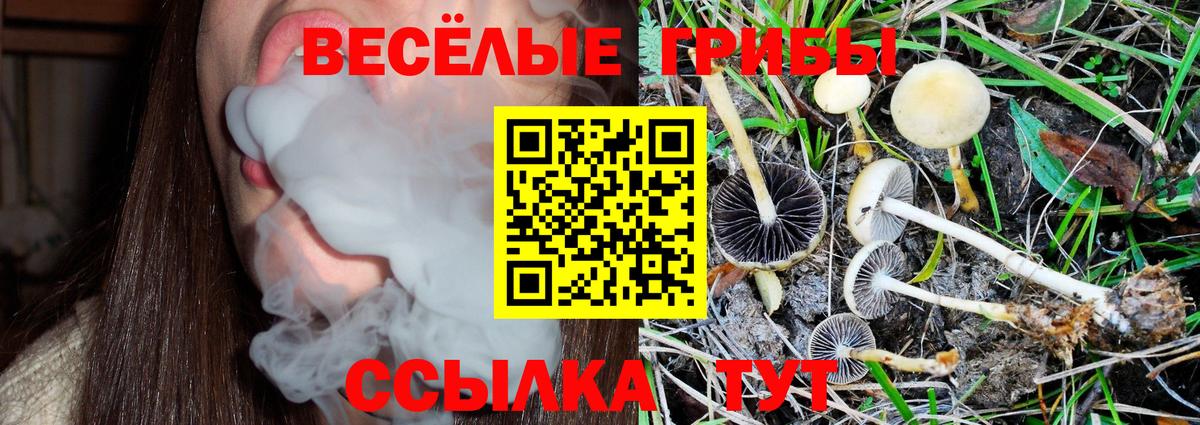 Галлюциногенные грибы мицелий Гусев