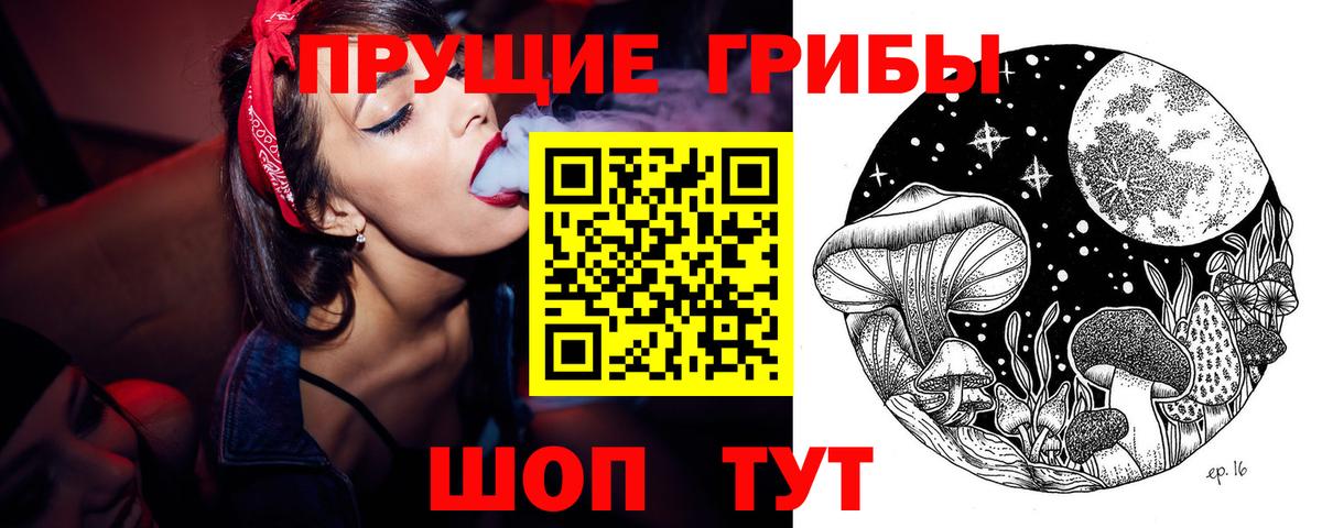 Псилоцибиновые грибы Magic Shrooms  Вход с VPN  Псилоцибиновые грибы Psilocybine cubensis  Гусев 
